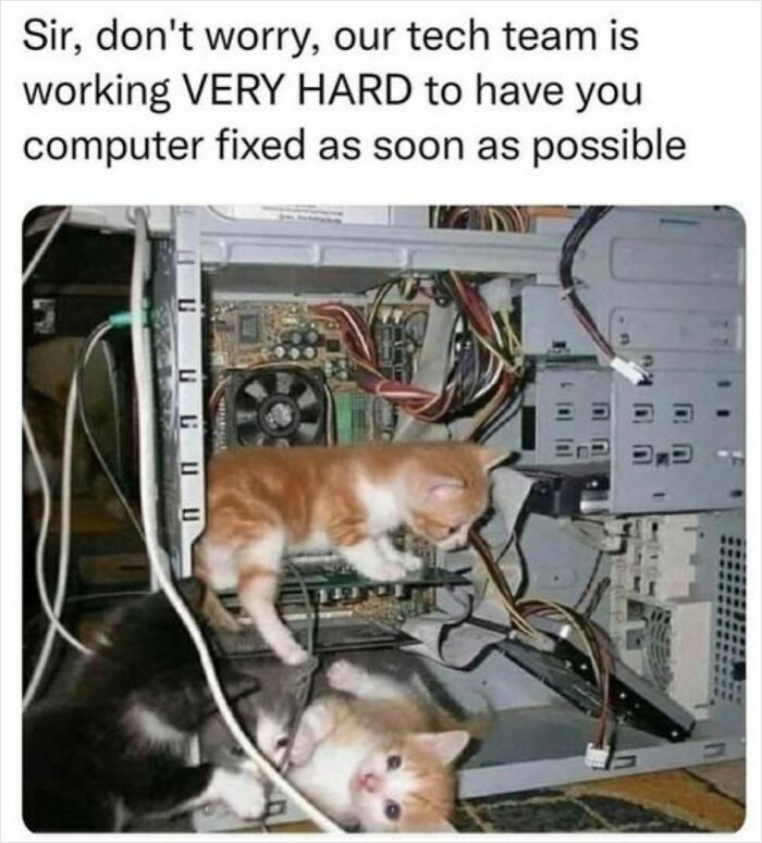 Hardworking felines play inside a computer case, appearing to fix it.