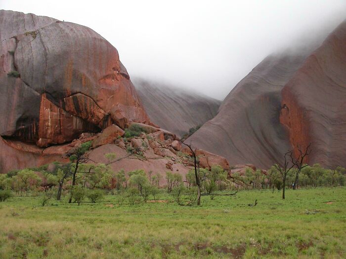 Misty landscape in Australia with red rock formations and green vegetation.