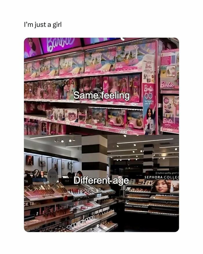 A girl shopping for Barbie dolls and makeup, illustrating relatable feelings across different ages in a circle of idiots meme.