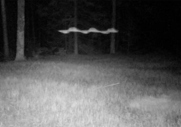 A mysterious, floating light captured by a trail camera at night, creating a spooky atmosphere in the wooded area.