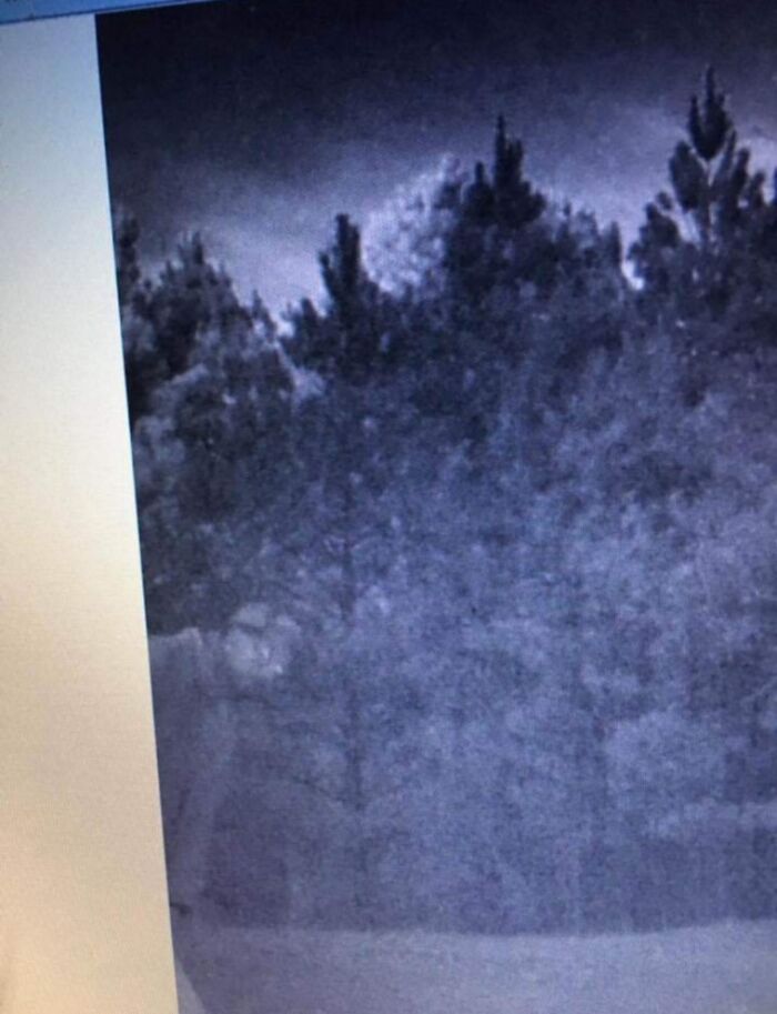 Eerie figure captured on trail cam in a dark forest, adding to creepy atmosphere.
