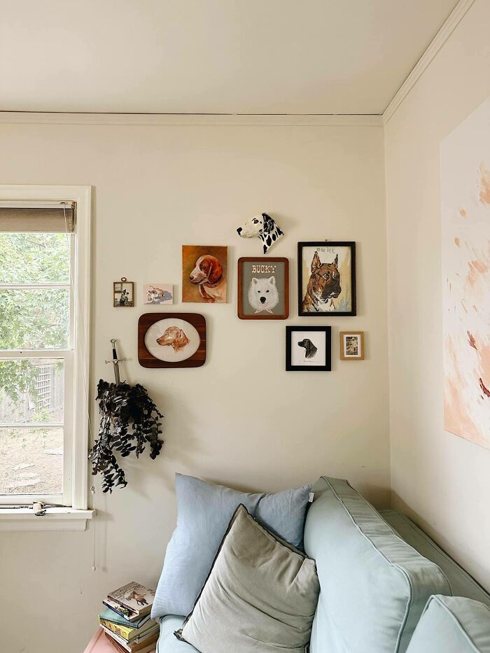 Secondhand find: eclectic wall art featuring various dog portraits above a cozy couch with decorative cushions.