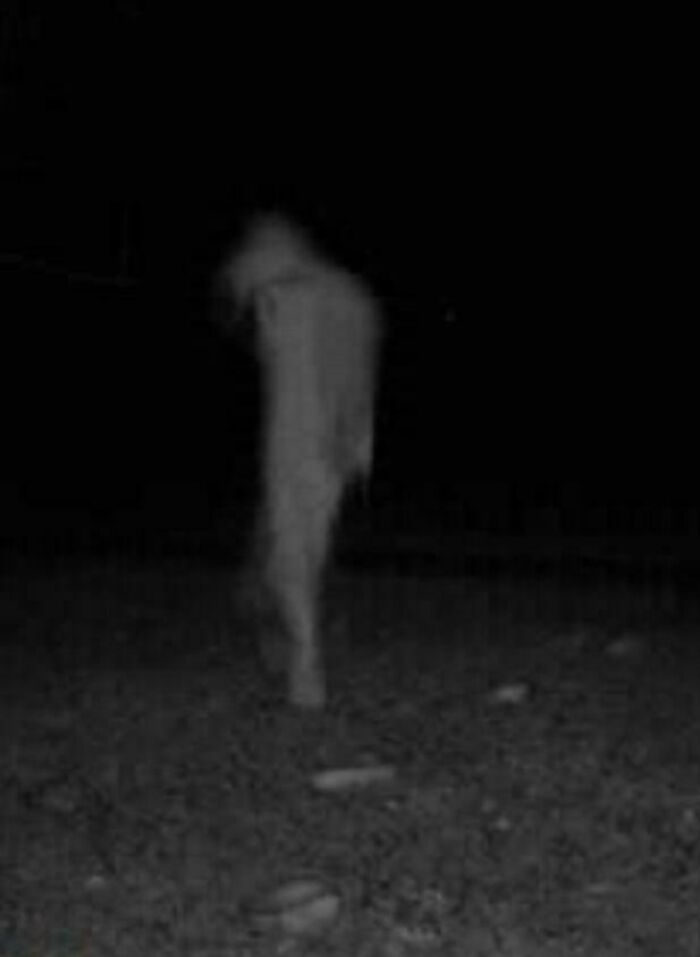 Blurry figure captured at night on a trail cam, adding to the creepy atmosphere of the scene.
