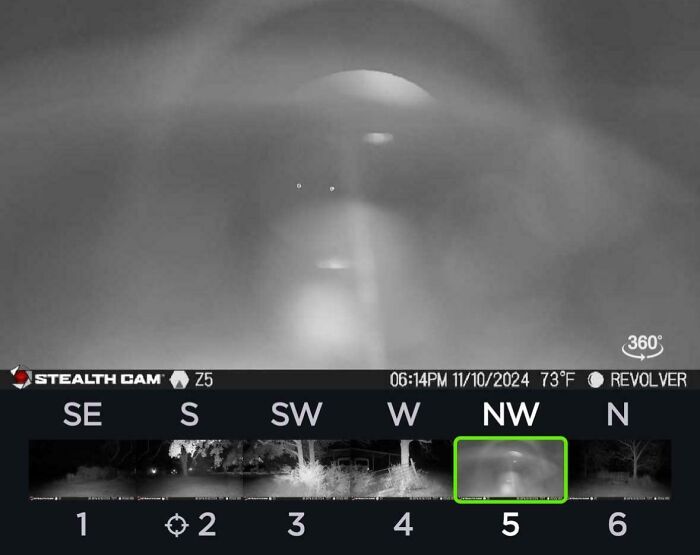 Mysterious and foggy trail cam picture showing unidentified lights in a nighttime forest scene.