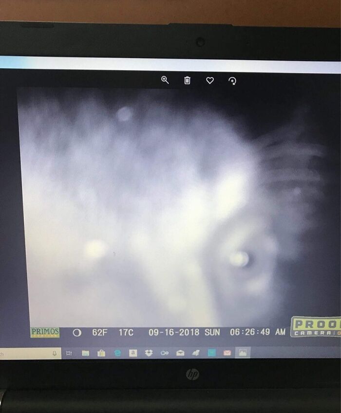 A spooky creature is captured up close on a trail cam, showing a mysterious eye and foggy background at night.