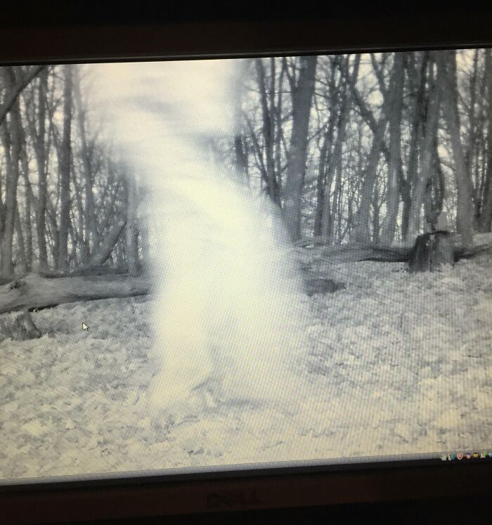 Mysterious white figure captured in a forest environment, typical of creepy trail cam pictures.