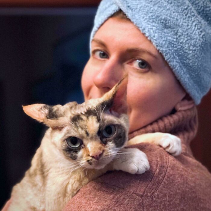Person wearing a blue towel on their head holds a cat, reminiscent of an Accidental Renaissance painting.