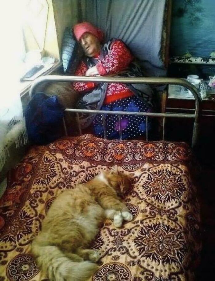 Sleeping woman and cat in a cozy bedroom evoke an accidental Renaissance painting.