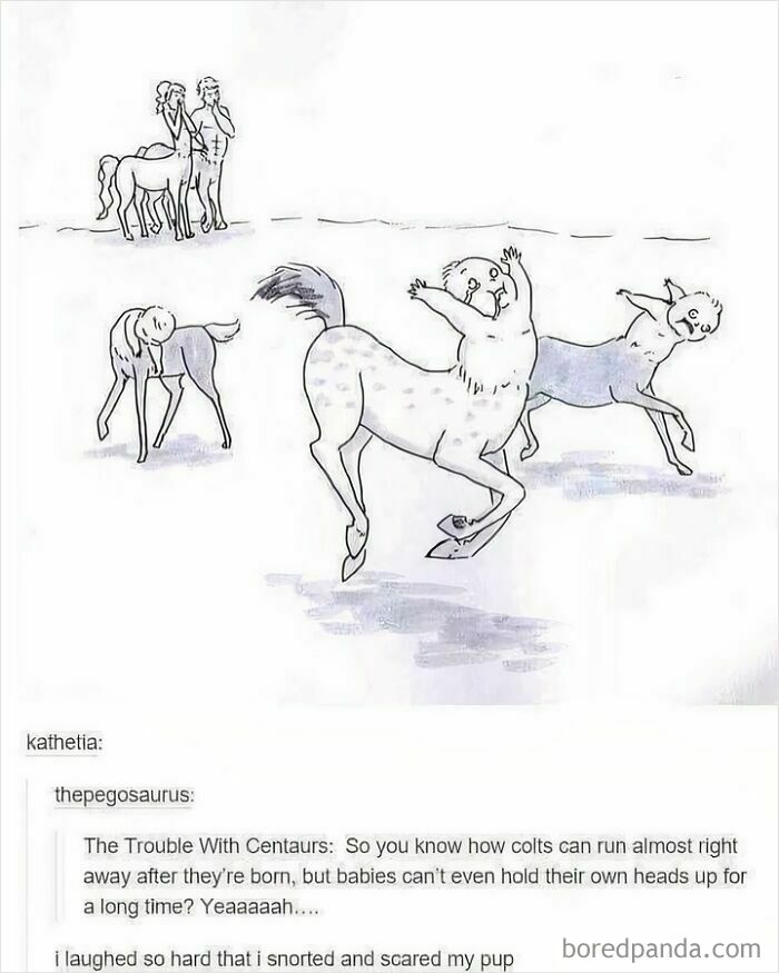 An illustrated centaur scene showing colts with humorous expressions, referencing awkwardly running centaur babies.