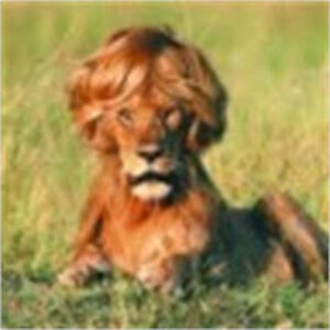 philippepierre avatar