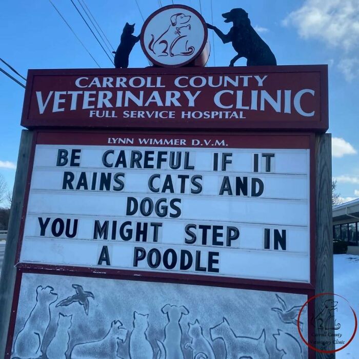 Vet clinic sign joke: "Be careful if it rains cats and dogs, you might step in a poodle."