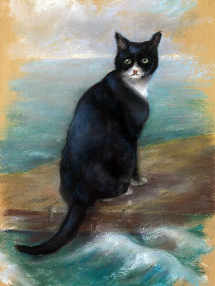 A black and white cat sitting by the sea, representing overlooked historical events.