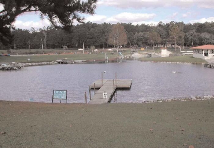 A pond with a mysterious floating dock and a sign reading "DON'T SWIM ALONE," surrounded by trees and grass.