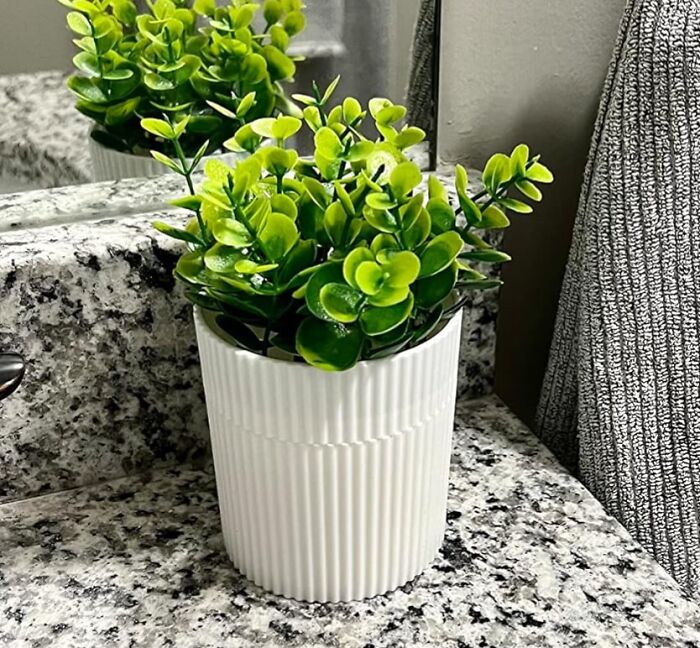 Small green plant in a white pot on a granite countertop, perfect for banishing eyesores in your home.
