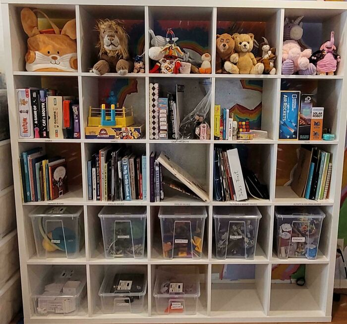 A neatly organized shelf with toys, books, and labeled bins showcasing next-level organization.
