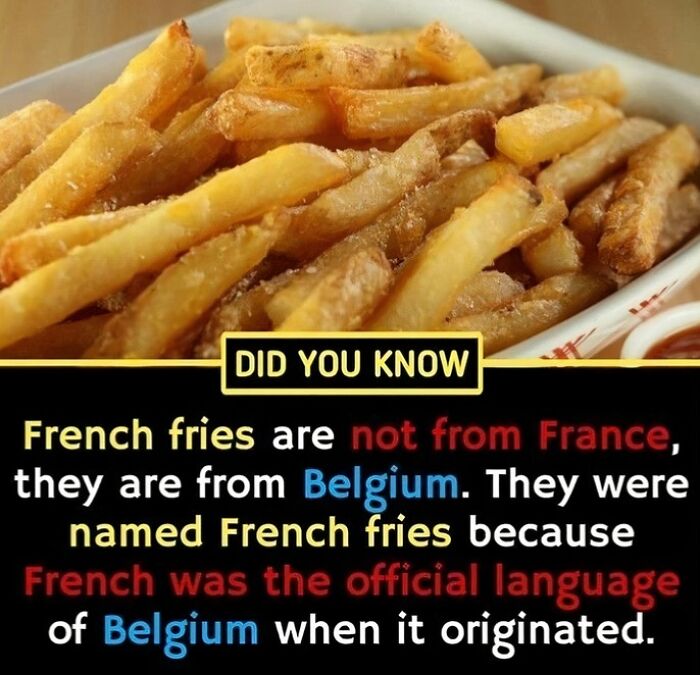 French fries in a dish with a fun fact about their Belgian origin for fascinating trivia.