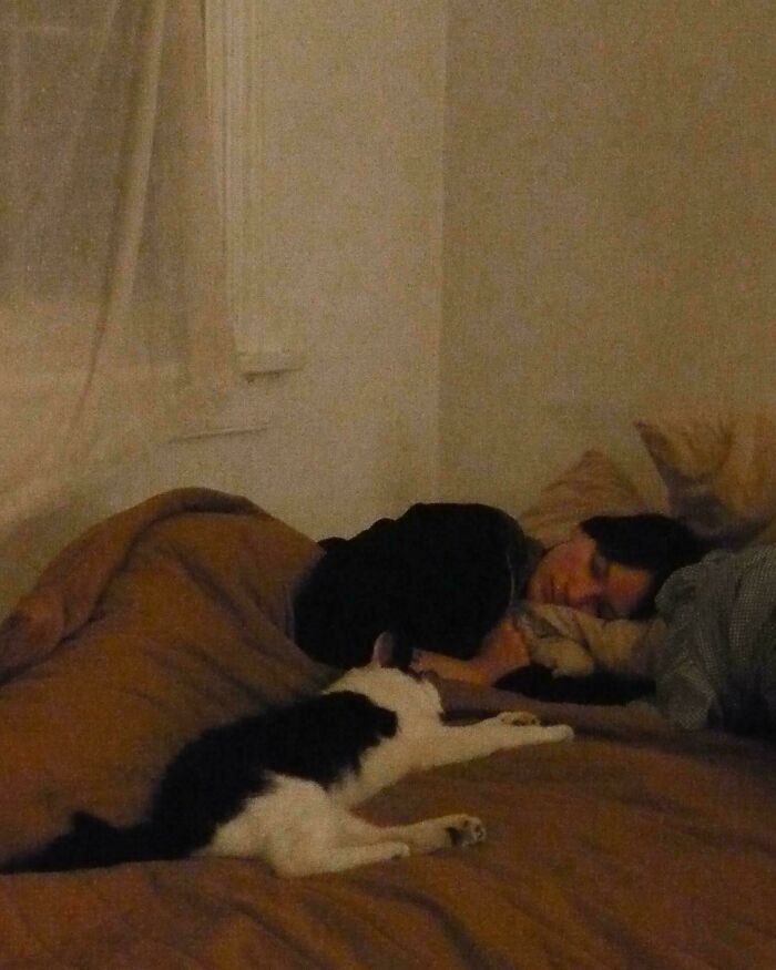 Person sleeping in bed with a cat, capturing an Accidental Renaissance scene with soft, painterly lighting.