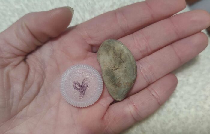 Hand holding a flat stone and a plastic bottle cap, showcasing unusual items crows might collect.