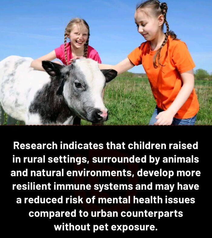 Children petting a cow in a rural setting, illustrating fascinating facts about mental health benefits from animal interaction.
