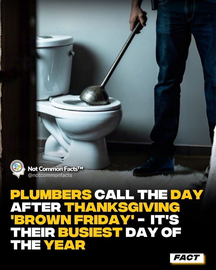 Person holding a plunger near a toilet; a fact about "Brown Friday" being the busiest day for plumbers is displayed.