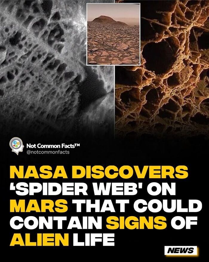 NASA discovers potential alien life traces on Mars with web-like structures.
