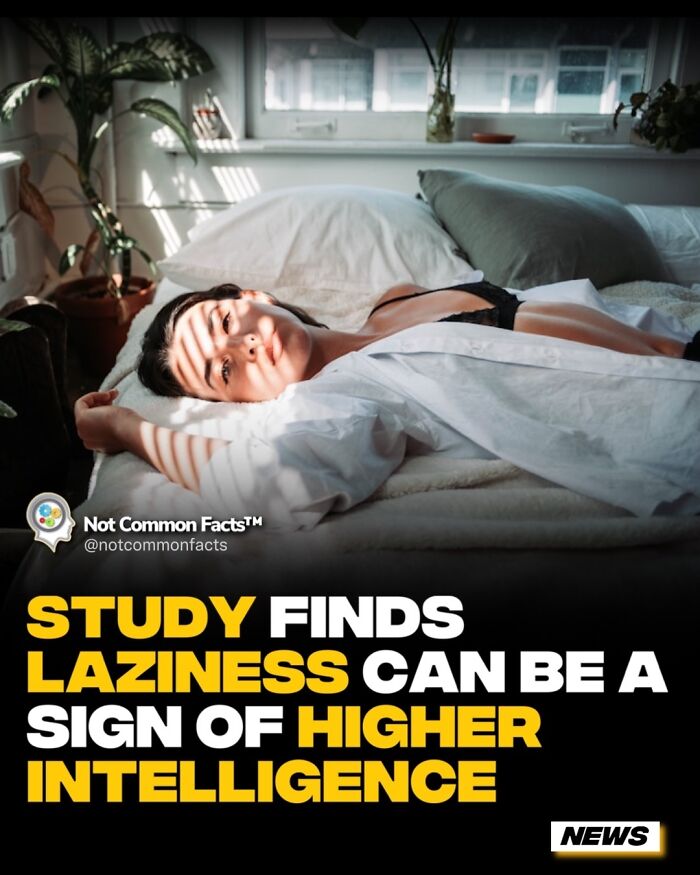 Person relaxing in bed with light filtering through blinds, accompanied by text suggesting laziness links to intelligence.