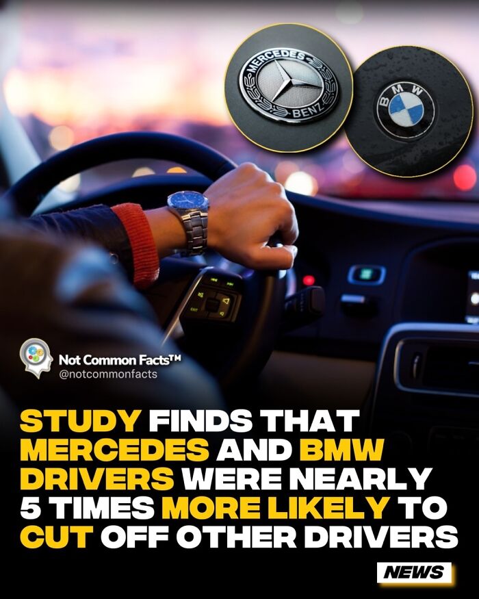 Driver in a car with Mercedes and BMW logos, highlighting study about drivers cutting off others, curious world fact.