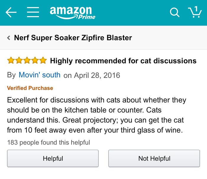 Funny review of a Nerf Super Soaker, humorously recommending it for discussions with cats.