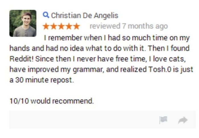 Five-star funny review about finding Reddit, improving grammar, loving cats, and changing views on Tosh.0. 10/10 recommendation.