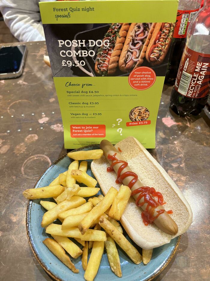 Plate with skimpy hot dog, ketchup, and fries beside a menu, illustrating potential food scams.