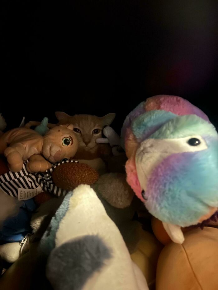 A cat peeks out from a pile of stuffed animals, blending in playfully with its surroundings.