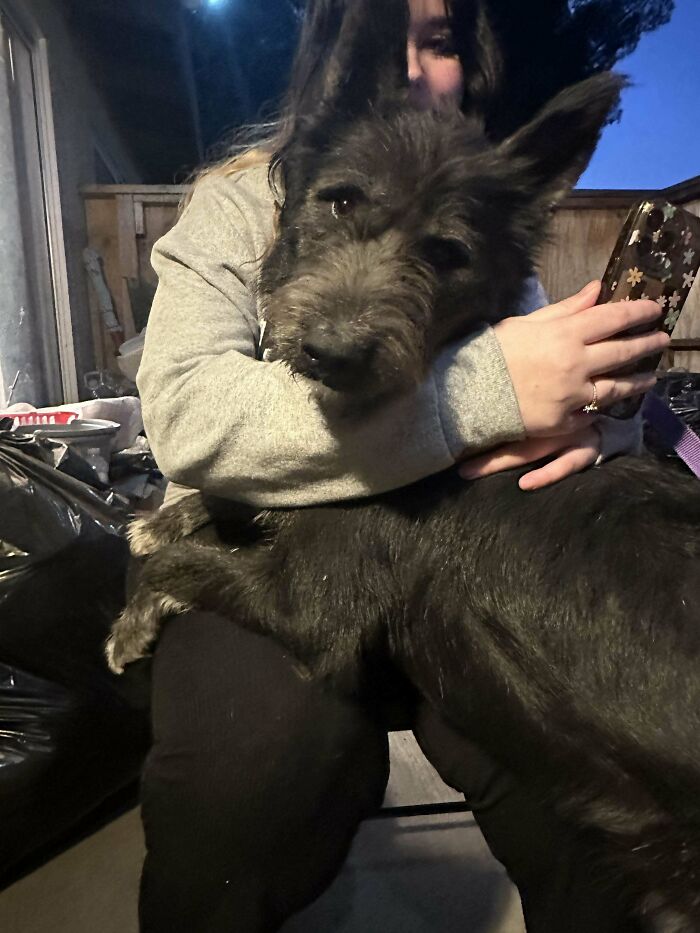 A proud pet owner cuddling their newly adopted dog, sharing a moment of joy together.