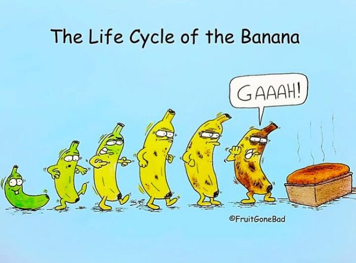 Comical banana life cycle illustration with bananas evolving toward banana bread.