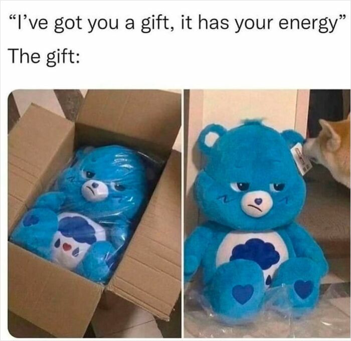 Grumpy blue teddy bear meme from a dedicated IG page for mood-boosting laughs.