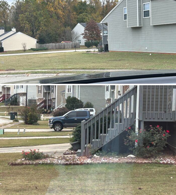 Según la asociación, tengo que mejorar el mantenimiento de mi jardín