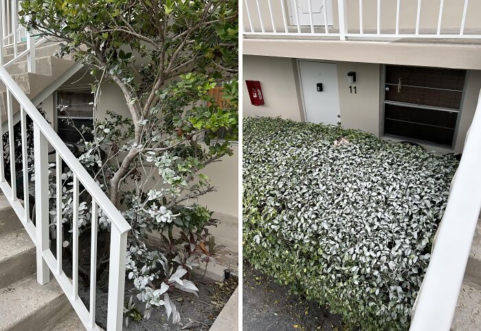 Esto es lo que tengo que mirar después de pagar mi cuota cada mes