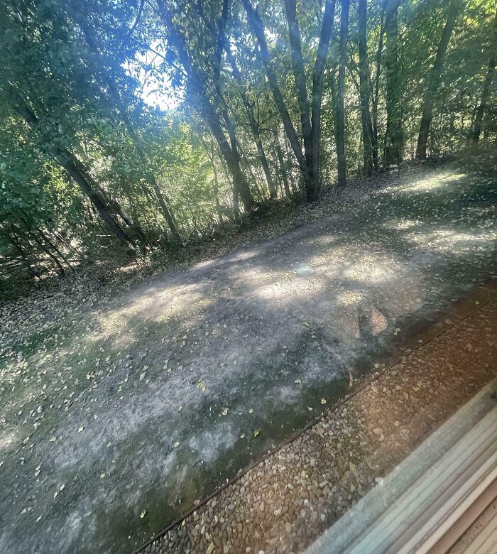 My Dad Pays A $250 Hoa Fee Each Month. Lawn Care Is Supposed To Be Included…