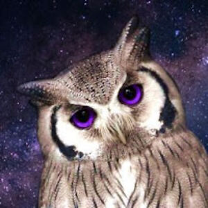 nebulaowl avatar