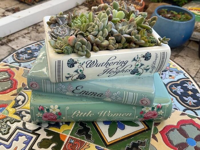 Succulents planted in book-shaped pots on a colorful table, perfect for best Valentines Day finds.