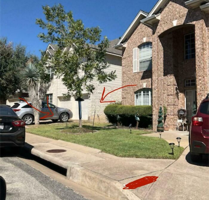 Tree Stakes Not Aesthetically Pleasing