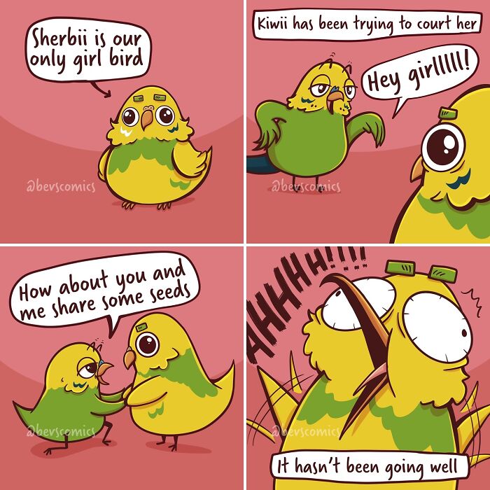 Comic about birds navigating relationships, featuring dialogue on courtship and sharing, exploring everyday realities.