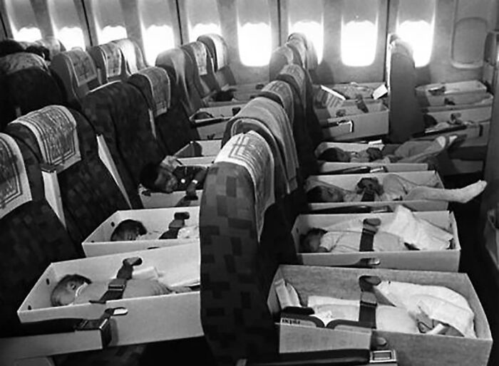 Babies in cardboard bassinets secured on airplane seats, showcasing a unique moment in history cool kids travel.