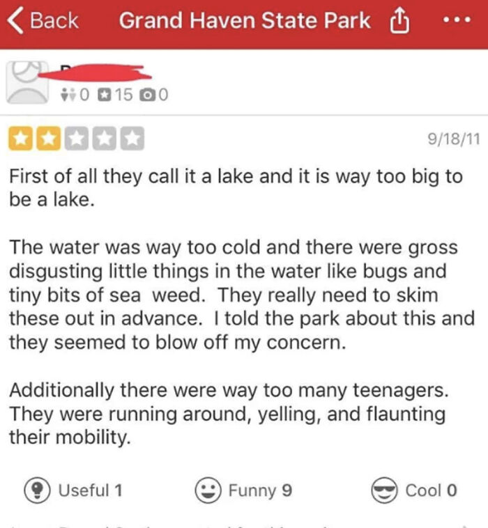 Screenshot of a funny park review mentioning the lake size, cold water, seaweed, and noisy teenagers, showcasing unique sentences.