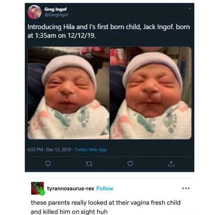 Screenshot of a humorous social media post with a newborn baby photo illustrating unique sentences people said.