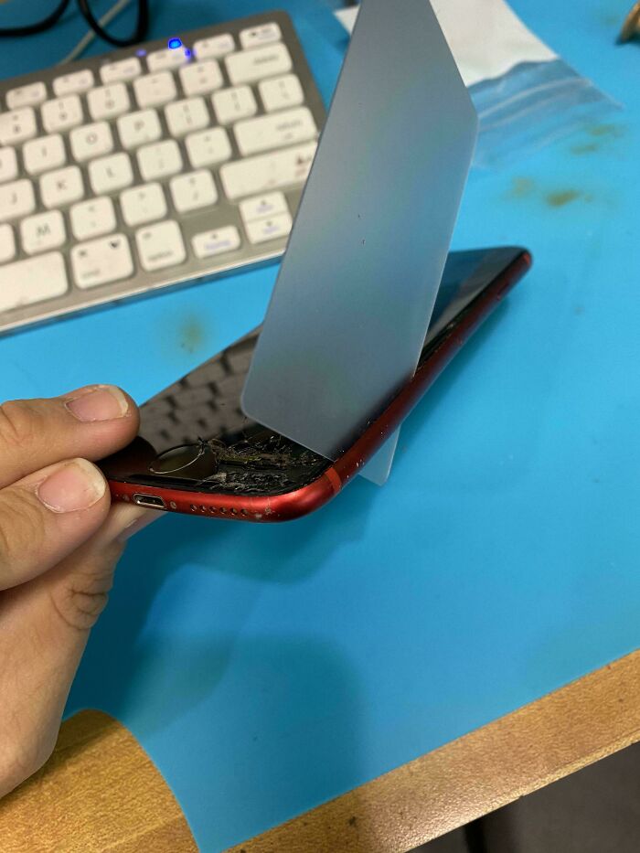 Damaged smartphone with separated screen being repaired by tech support worker on blue work surface near keyboard.