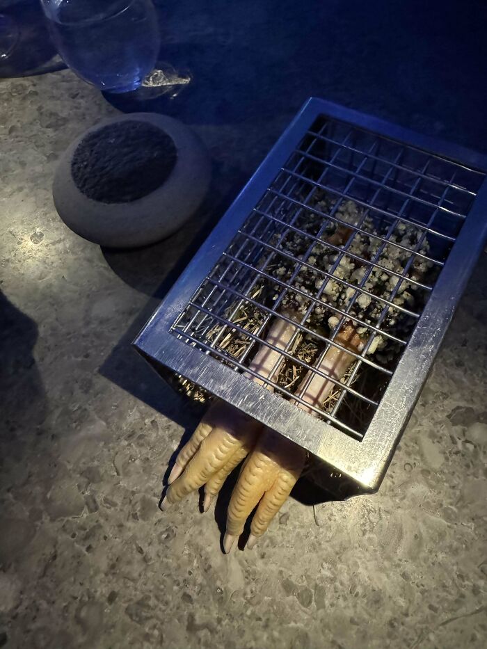 Unusual food presentation with chicken feet served inside a metal cage, one of the most ridiculous ways food is served in restaurants.