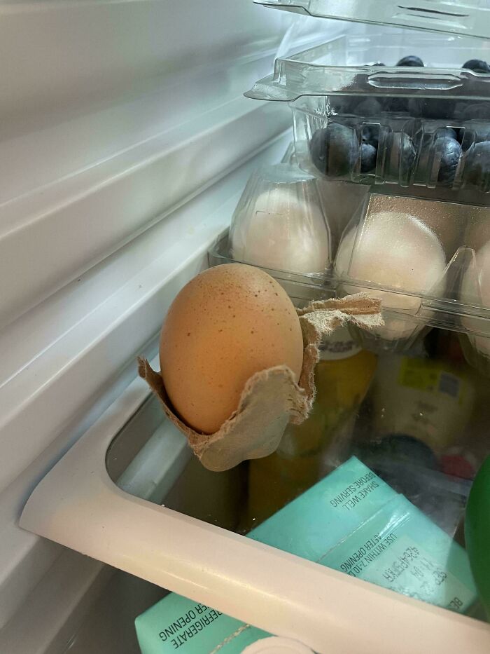 Egg balanced on fridge door shelf next to a carton and blueberries, offering mildly interesting amusement.
