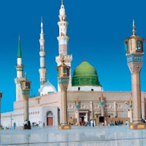 rashaaldirawi avatar