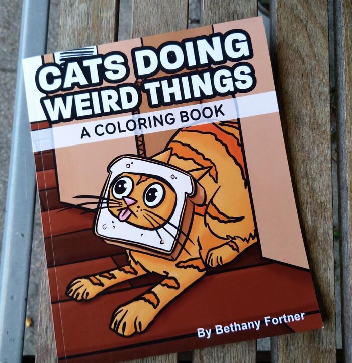 Coloring book titled "Cats Doing Weird Things" on a wooden bench, a funny Amazon find.