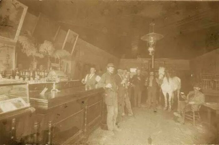 Victorian era men in a dimly lit saloon, standing near the bar with a horse in the background.